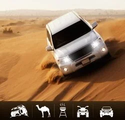 Explore Evening Desert Safari