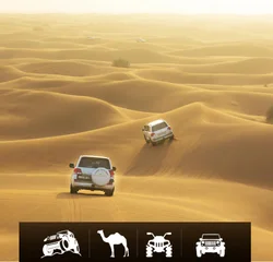 Morning Desert Safari
